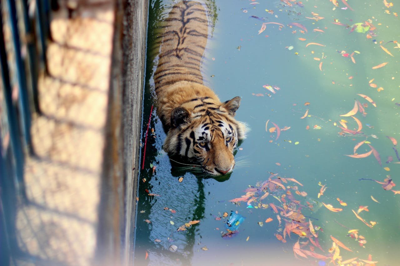 pexels photo 7400543.jpeg