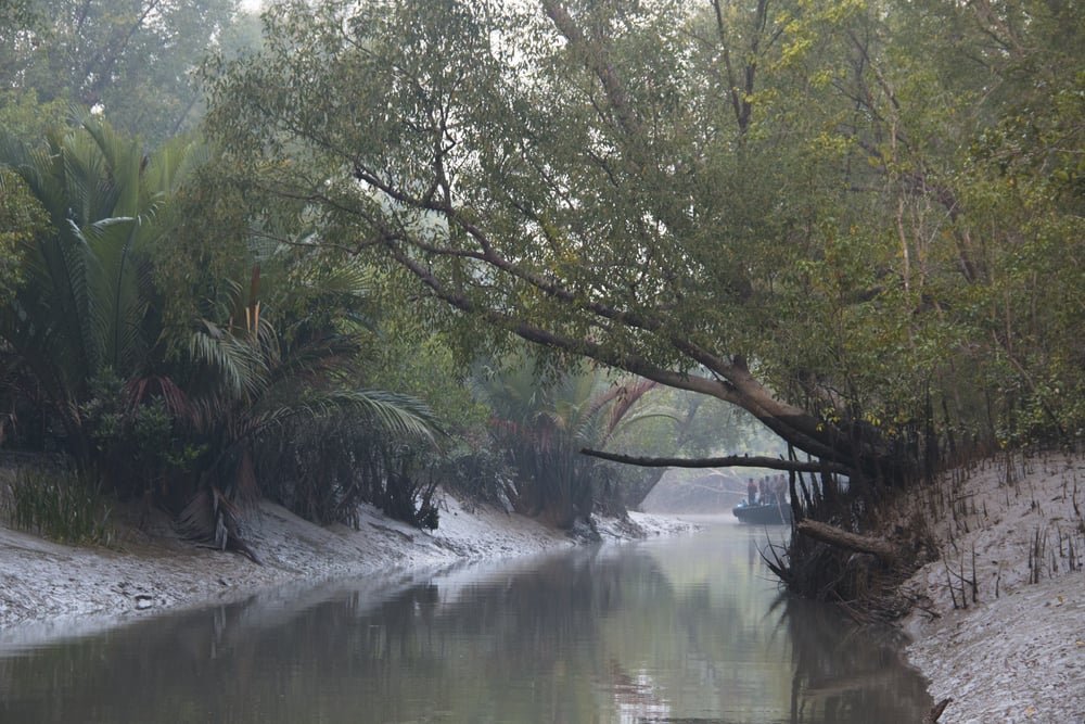 Sundarbans 1N 2D package