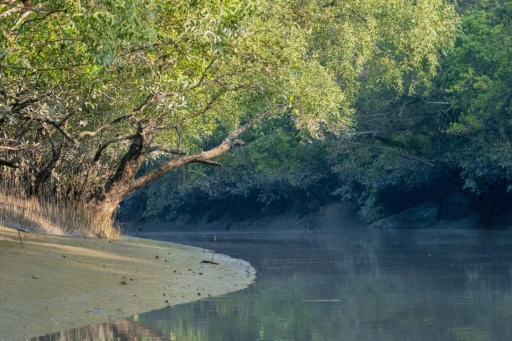 sundarban tour 2 nights 3 days